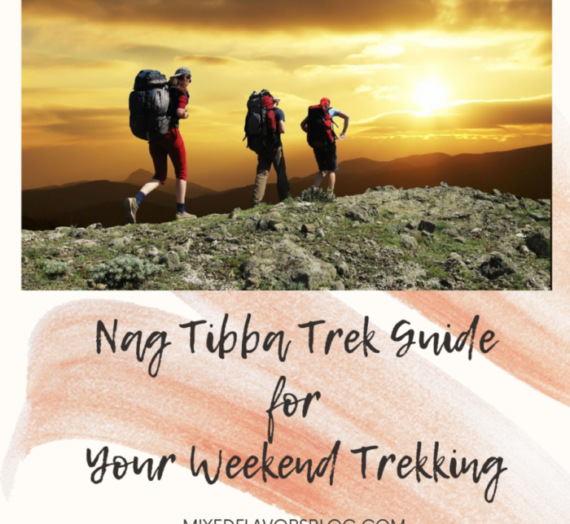 Nag Tibba Trek Guide for Your Weekend Trekking