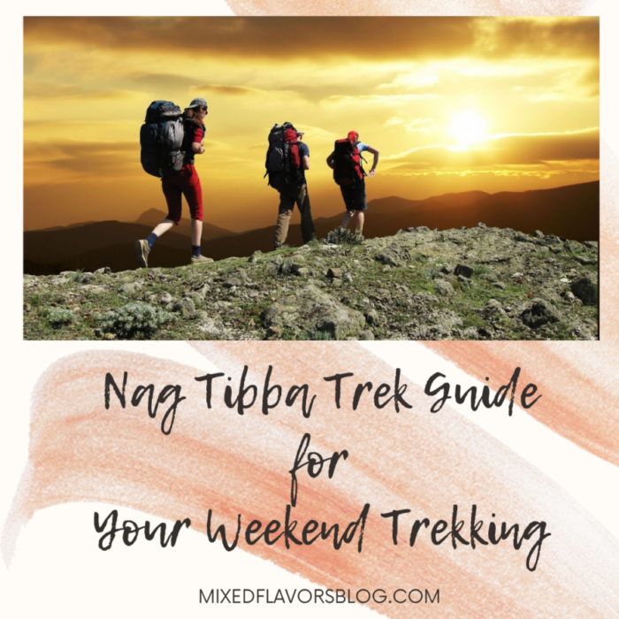Nag Tibba Trek Guide For Your Weekend Trekking - The Mixed Flavors